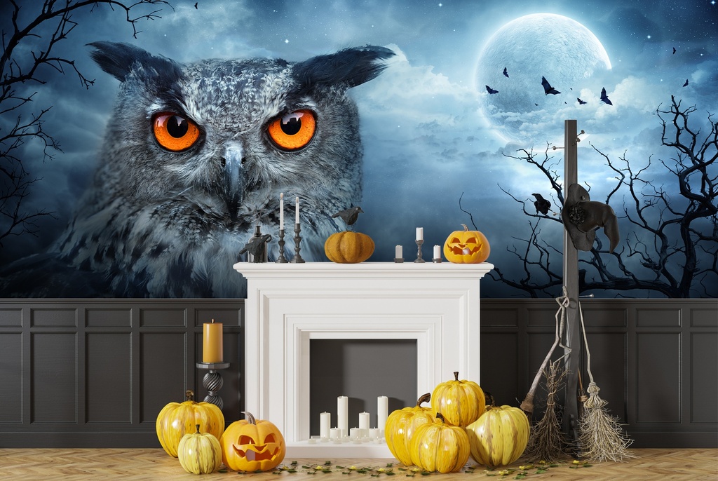 Owl & Moon Halloween Wall Mural Wallpaper