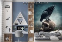 Black Raven Skull Halloween Wall Mural Wallpaper