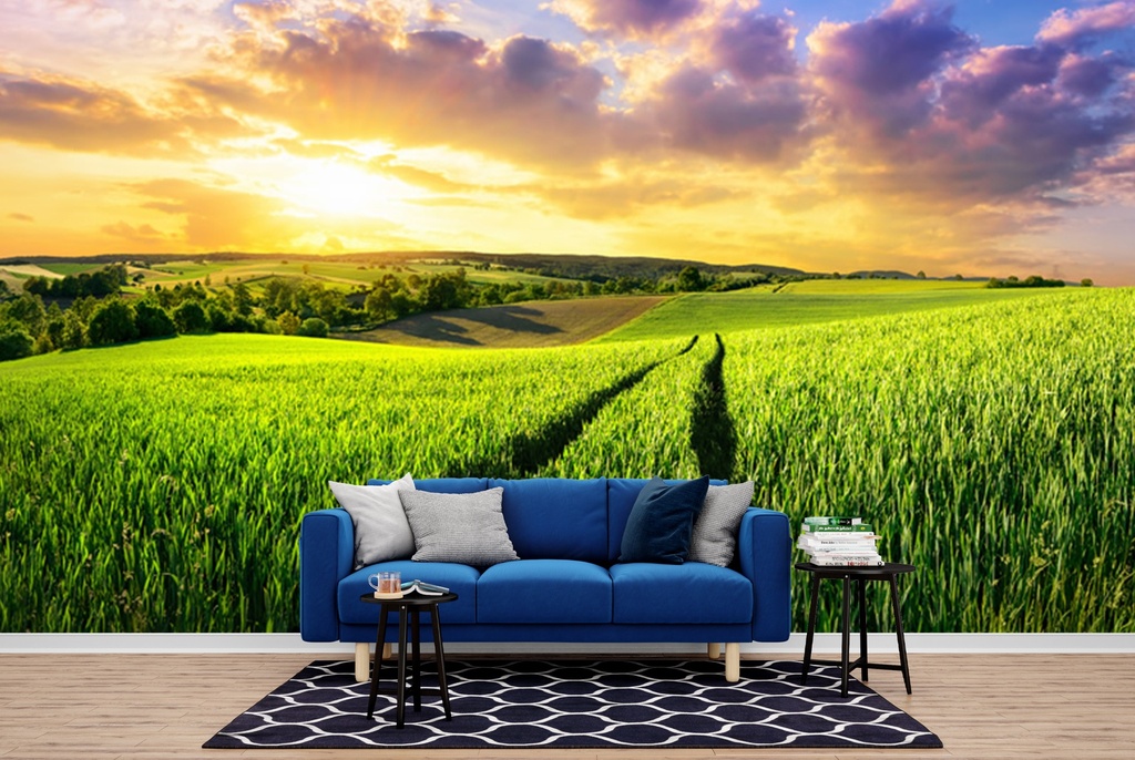 Green Field Sunset Panoramic Wall Mural Wallpaper