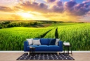 Green Field Sunset Panoramic Wall Mural Wallpaper