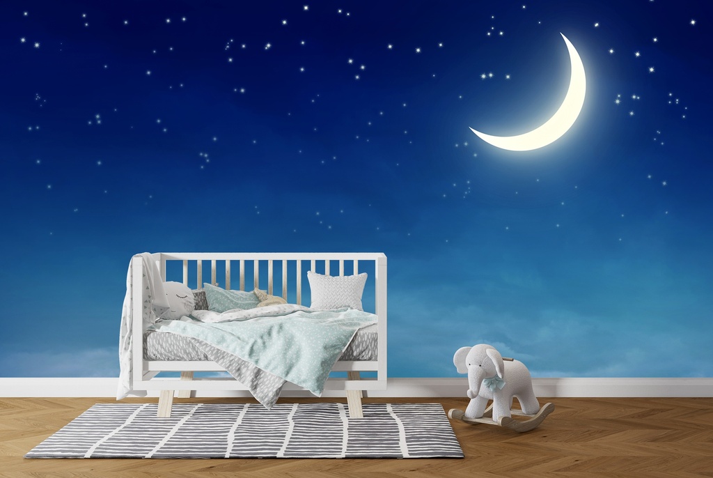 Stars & Moon Wall Mural Wallpaper