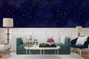 Starry Sky Panoramic Wall Mural Wallpaper
