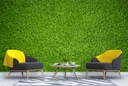 Green Grass Wall Mural Wallpaper