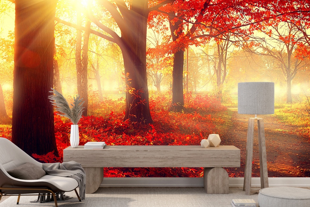 Red Autumn Forest Sunlit Trees Wall Mural Wallpaper