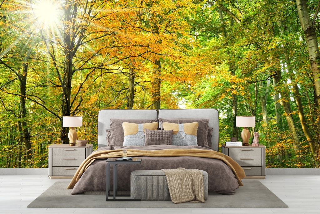 Sunlit Green Trees Forest Path Wall Mural Wallpaper