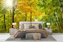 Sunlit Green Trees Forest Path Wall Mural Wallpaper