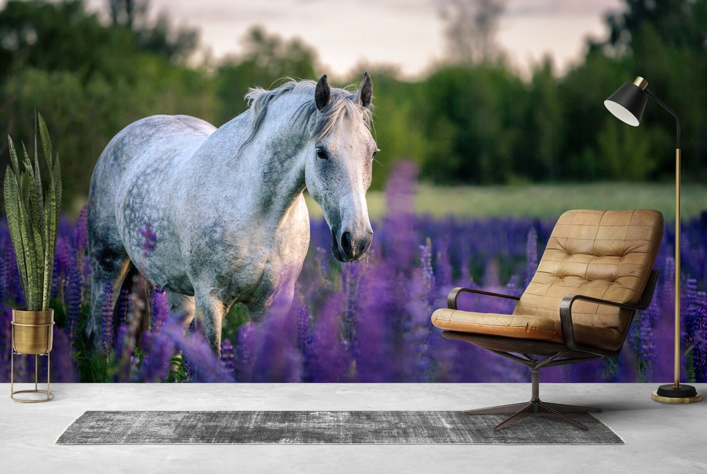 White Horse Purple Flower Field Wall Mural Wallpaper