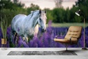 White Horse Purple Flower Field Wall Mural Wallpaper