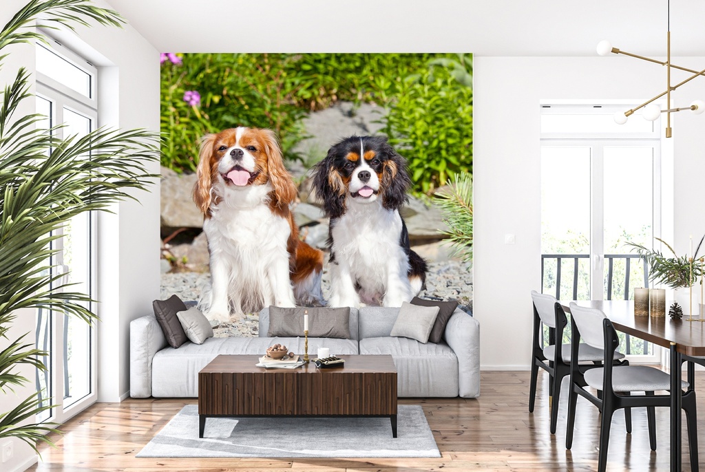 King Charles Spaniel Pet Dogs Wall Mural Wallpaper
