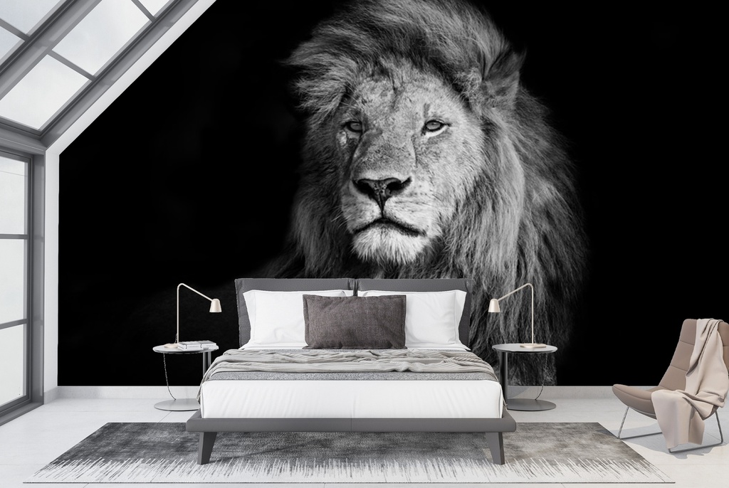Lion Portrait Wall Mural Wallpaper - Mod8