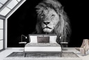 Lion Portrait Wall Mural Wallpaper - Mod8