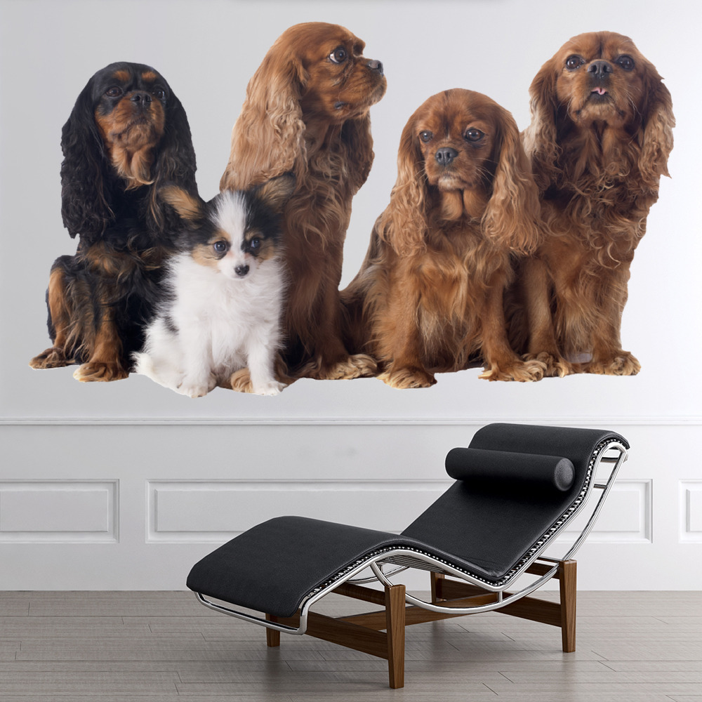 Cavalier King Charles Spaniel Dogs Wall Sticker