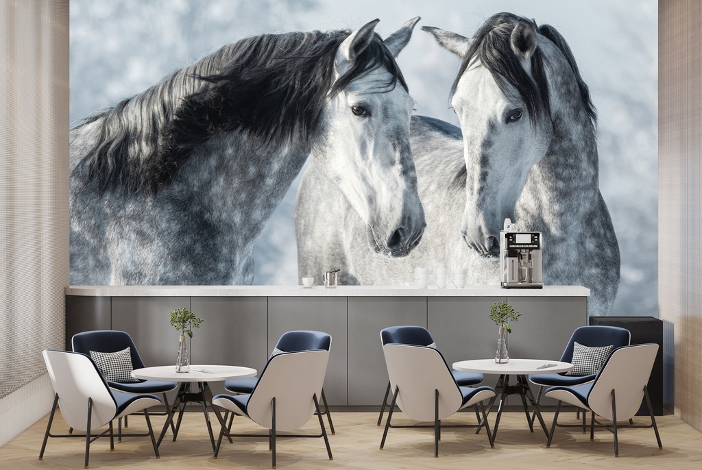 Beautiful Grey Stallions Winter Horse Wall Mural Wallpaper