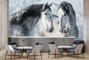 Beautiful Grey Stallions Winter Horse Wall Mural Wallpaper