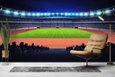 Sports Stadium Athletics Track Wall Mural Wallpaper