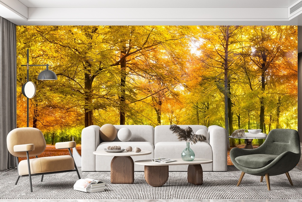 Autumn Forest Sunshine Panoramic Wall Mural Wallpaper