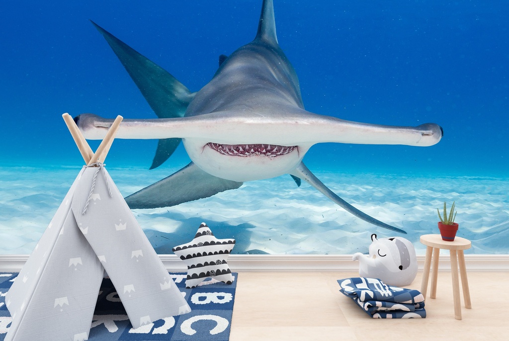 Hammerhead Shark Under The Sea Wall Mural Wallpaper