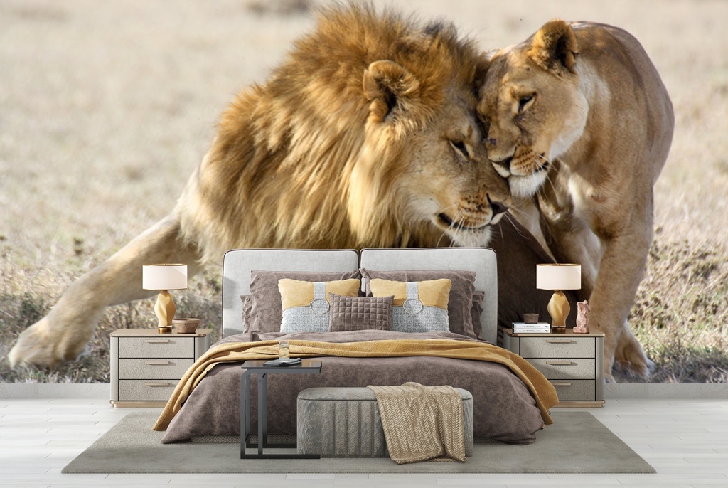 Lions In Love Wall Mural Wallpaper