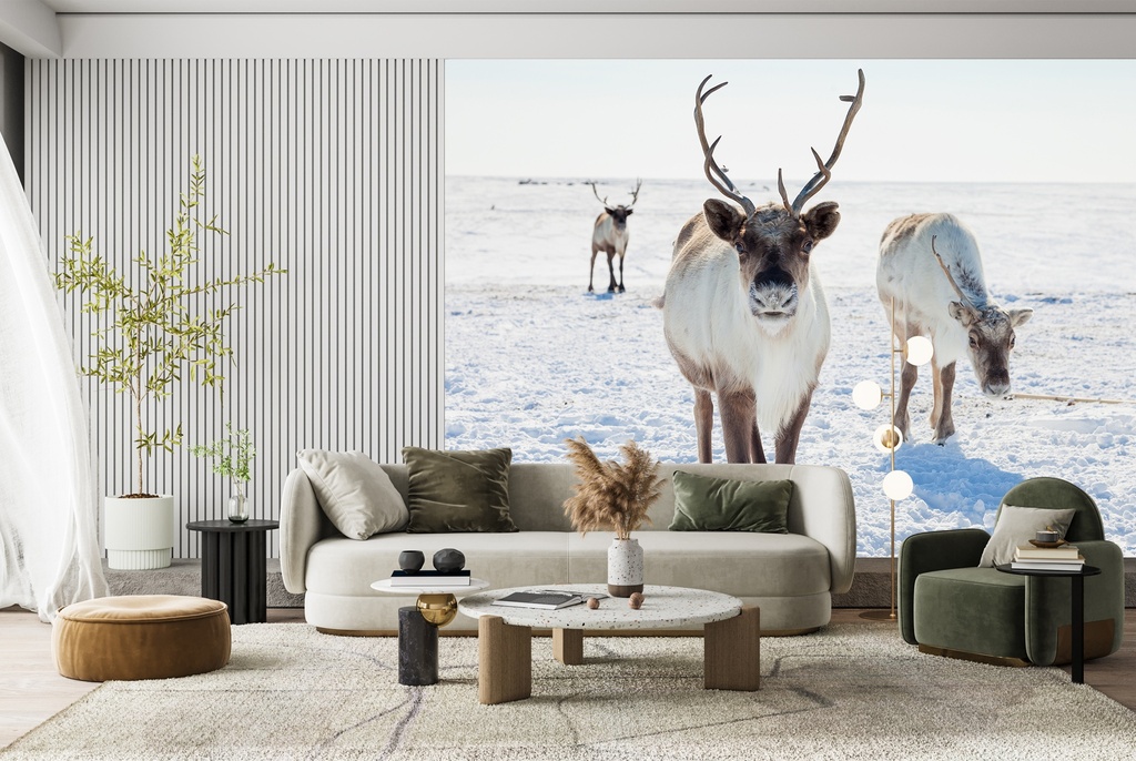 Winter Reindeer Wall Mural Wallpaper
