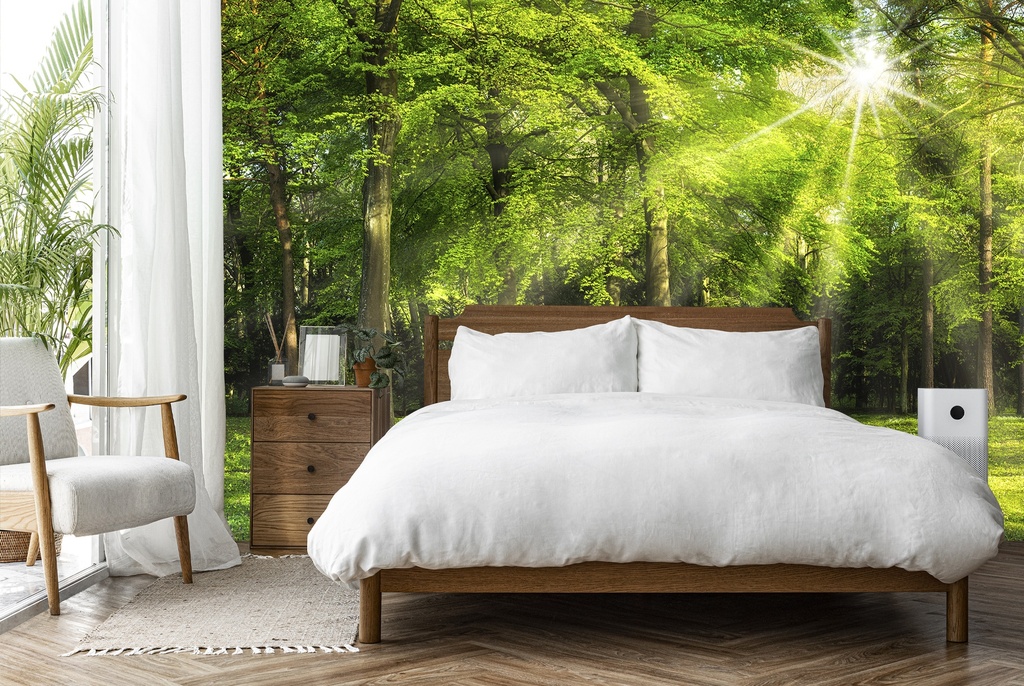 Spring Forest Panoramic Wall Mural Wallpaper - Mod5