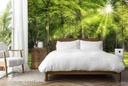 Spring Forest Panoramic Wall Mural Wallpaper - Mod5