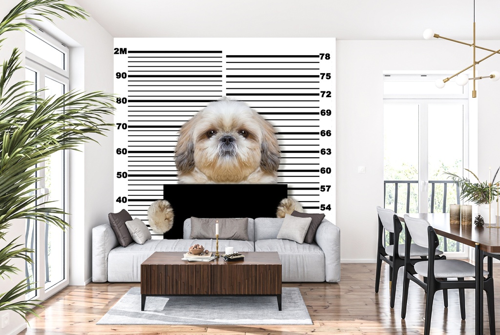 Bad shitzu Funny Dog Wall Mural Wallpaper