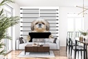 Bad shitzu Funny Dog Wall Mural Wallpaper