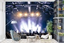 Crowd Concert Music Wall Mural Wallpaper