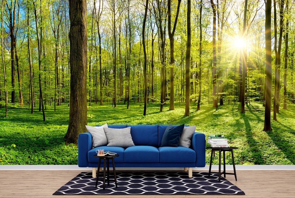 Sunlit Green Forest Panoramic Wall Mural Wallpaper