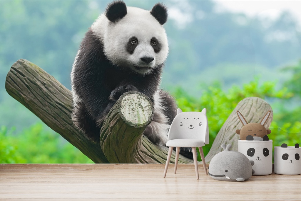 Panda Bear Wildlife Wall Mural Wallpaper