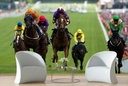 Horse Racing Wall Mural Wallpaper - Mod4