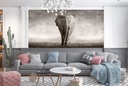 Grey Elephant Wall Mural Wallpaper