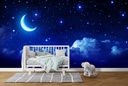 Twilight Sky Moon & Clouds Wall Mural Wallpaper