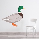 Mallard Duck Farm Animal Wall Sticker