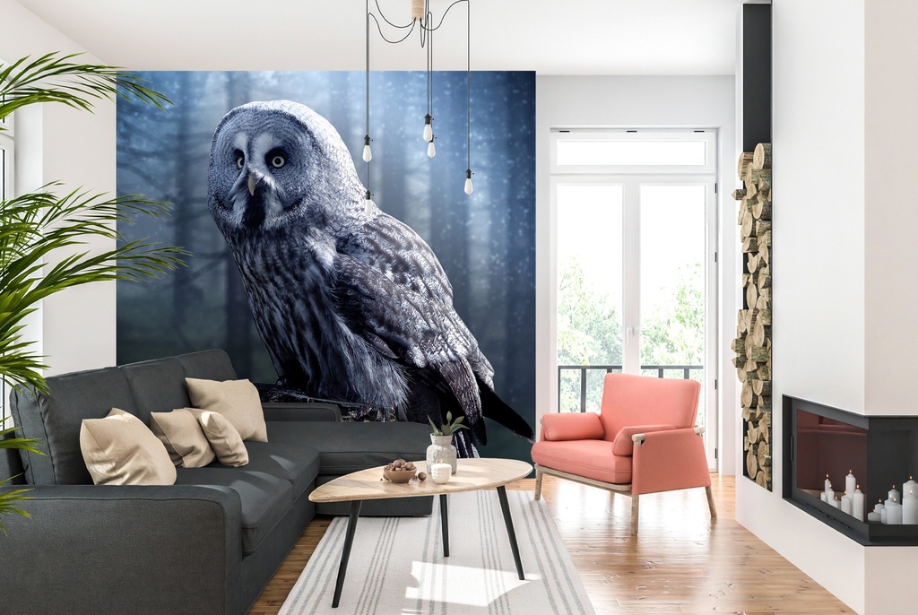 The Grey Owl Wall Mural Wallpaper