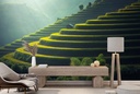 Green Rice Paddy Thailand Landscape Wall Mural Wallpaper