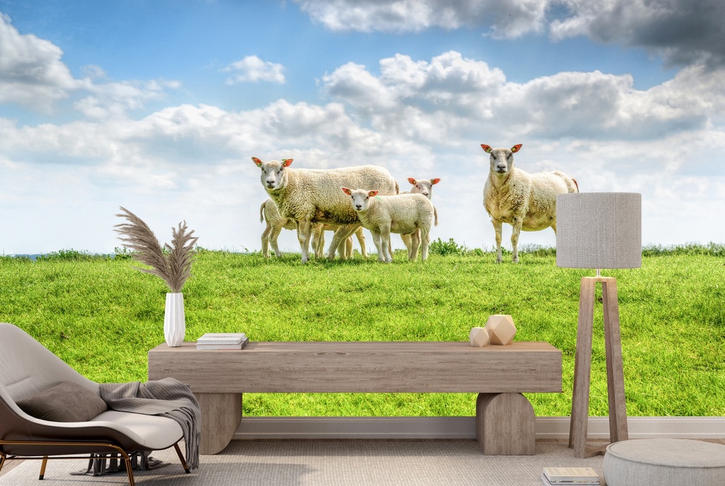 Sheep & Lambs Farmyard Wall Mural Wallpaper