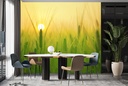 Rice Field Sunset Food Kitchen Wall Mural Wallpaper