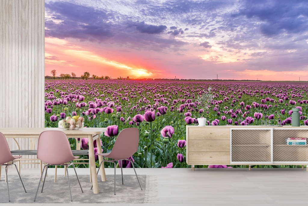 Purple Tulip Flower Field Wall Mural Wallpaper
