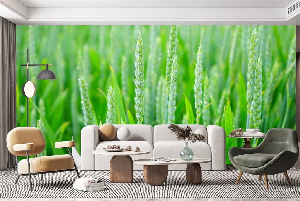 Green Wheat Field Food Kitchen Wall Mural Wallpaper