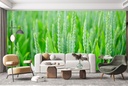 Green Wheat Field Food Kitchen Wall Mural Wallpaper
