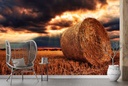 Hay Bale Farmers Field Wall Mural Wallpaper