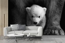 Bear Cub Wall Mural Wallpaper