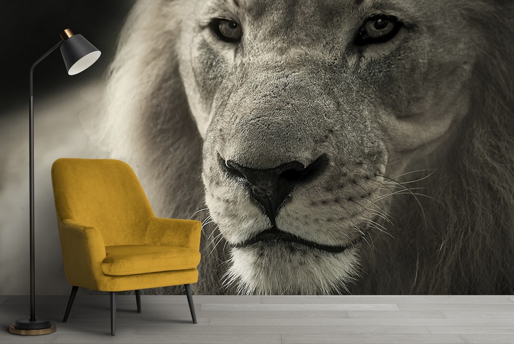 Black & White Lion Wall Mural Wallpaper