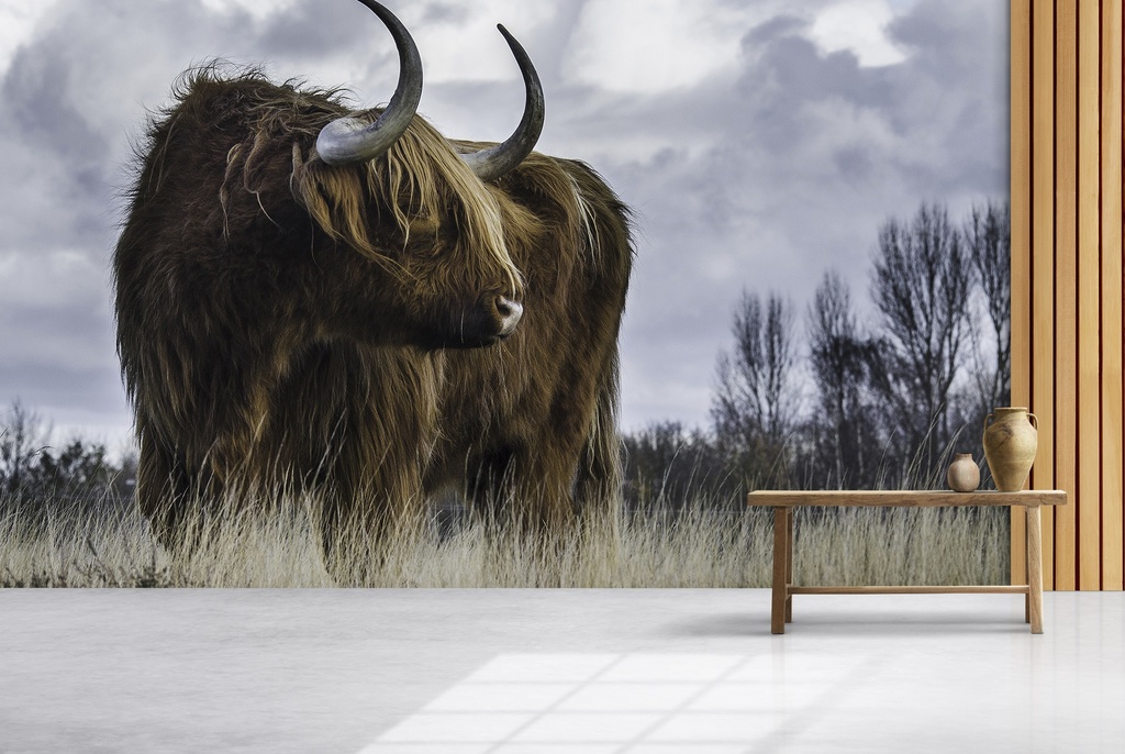 Brown Highland Cow Wall Mural Wallpaper