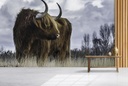 Brown Highland Cow Wall Mural Wallpaper
