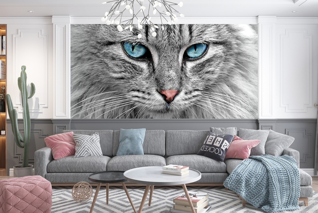 The Grey Cat Pets Vets Animals Wall Mural Wallpaper