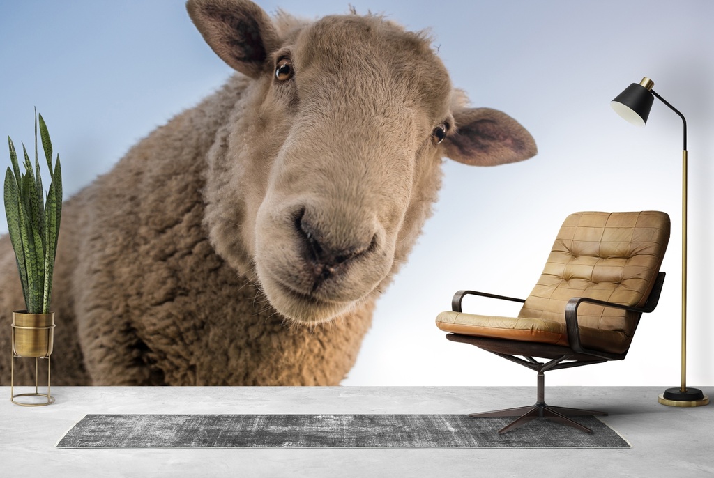 Sheep Selfie Farmyard Wall Mural Wallpaper