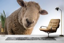 Sheep Selfie Farmyard Wall Mural Wallpaper