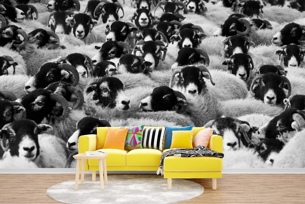 Black & White Sheep Wall Mural Wallpaper